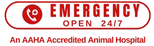 Emergency Logo
