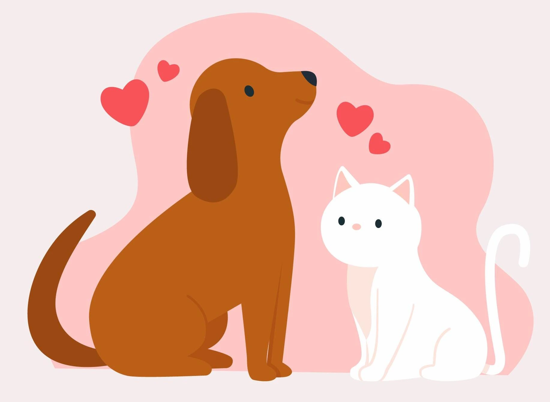 Dog receiving veterinary care